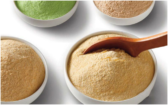 宜瑞安新產品 宜瑞安蛋白質和豆類粉